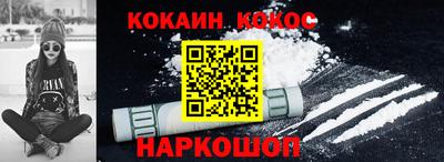 стаф Дубна