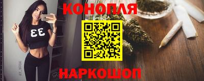стаф Дубна