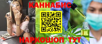 стаф Дубна