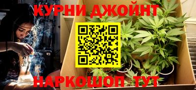 стаф Дубна
