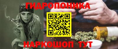 стаф Дубна