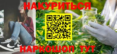 стаф Дубна