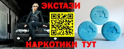 стаф Дубна
