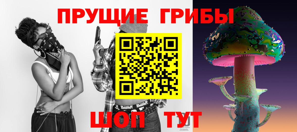 Котельники  Псилоцибиновые грибы мицелий  Галлюциногенные грибы Psilocybe  Вход с VPN 